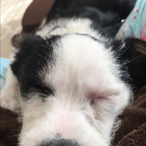 Meet your Posher, Connie